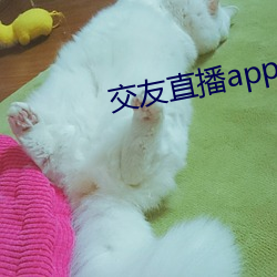 交友直播app排名