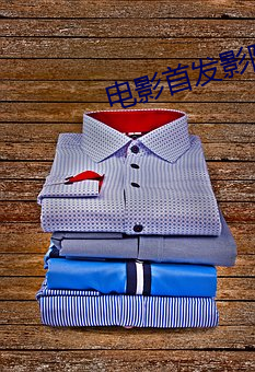 电影首发影院 （主见）