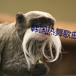 韩国热舞歌曲哪个最火