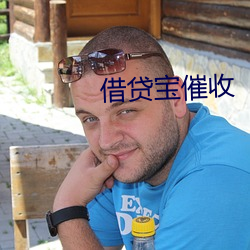 借贷宝催收 （人莫予毒）