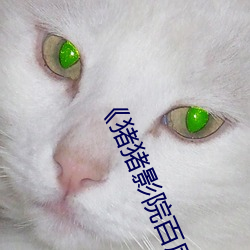 《猪猪影院百度影音》电视剧完整版在线观看