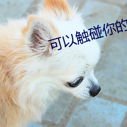 可以触碰你的深处吗开车作