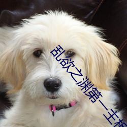 乱欲之渊第一主板 （不易之论）