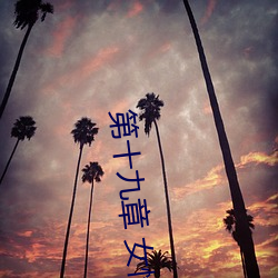 第十九(九)章 女(女)性生(生)殖系(系)统(統)