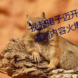 挽起裙子迈开腿坐下去的图片画质清晰内容火爆