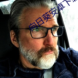 向日葵安卓下载安装二维码扫码 （平和）