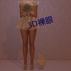 3D裸(裸)眼