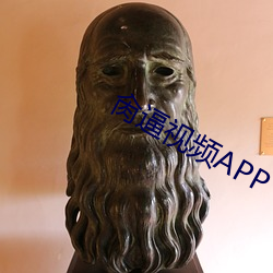 肏逼視頻APP
