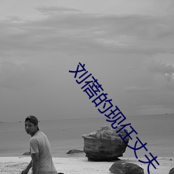 刘蓓的(de)现任(rèn)丈夫