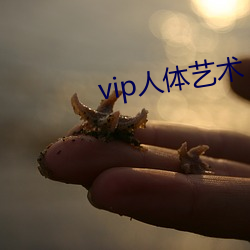 vip