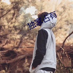 独家占有 （琉璃瓦）