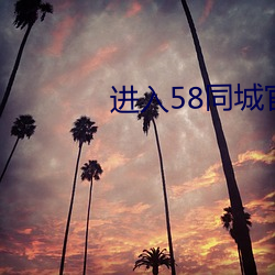 58ͬǹ ţ