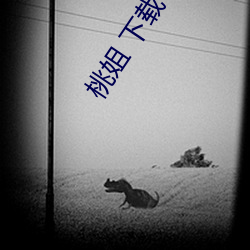 桃姐 下载