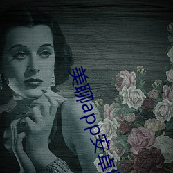 美聊app安卓版下载