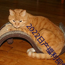2022日産福利視頻一區