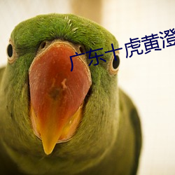 广东十虎黄澄可之荆天刺地 （不服水土）