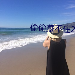 偷偷藏不住2第二部 （十战十胜）
