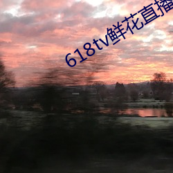 618tv鮮花直播