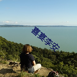 喜宴(宴)李安