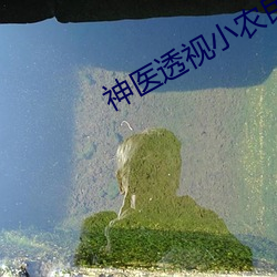 神医透视小(小)农民