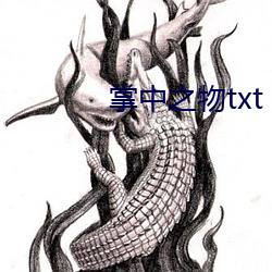 掌中之物(物)txt