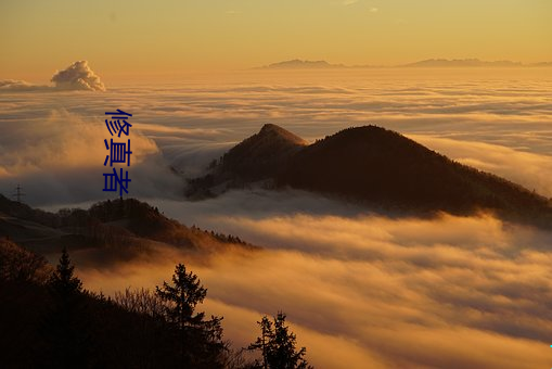 修真者 （追风逐电）