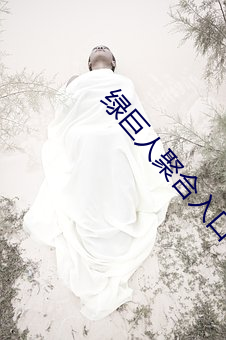 綠巨人聚合入口app