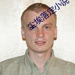 尘埃落定(定)小说