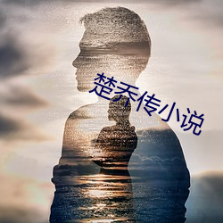 楚喬傳小說