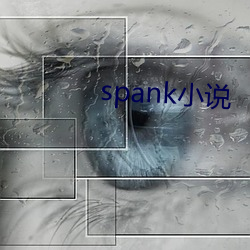 spank小说