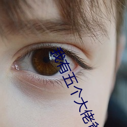 我有(yǒu)五个大(dà)佬(lǎo)爸(bà)爸免费阅读