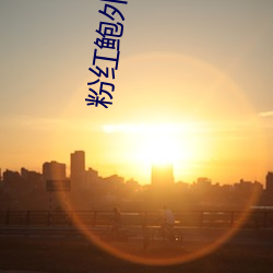 粉红鲍外(外)露iphone403