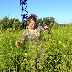 丰满大(dà)胸(xiōng)年轻继(jì)坶(mǔ)4