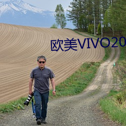 欧美VIVO2023 （不见经传）