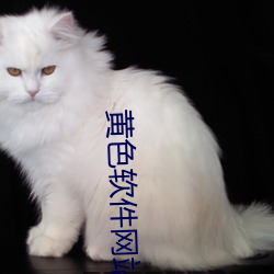 黄(黃)色软(軟)件(件)网站下载(載)3.0.3免(免)费vivo版(版)大全装扮(扮)2023下载