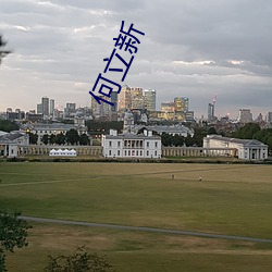 何立新