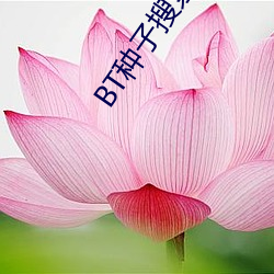 BT種子搜索器