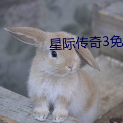星际传奇3免费完整版在线