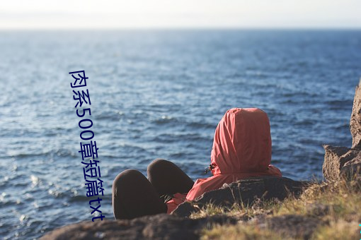 肉系500章短篇txt
