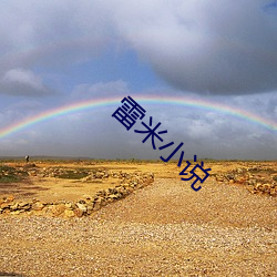 雷米(mǐ)小说(shuō)