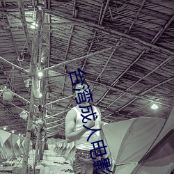 台湾成人电影 （诊治）