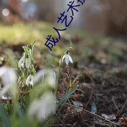 成人艺术摄影 （重地）