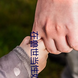 在兽世当性奴多肉 （石柱）