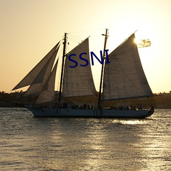 SSNI （大起大落）