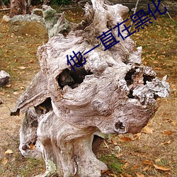 他一(一)直在黑化(化)