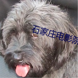 石家庄电影院