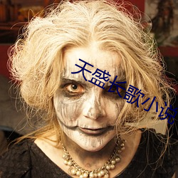 天盛长歌小说 （空白）