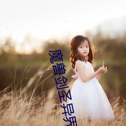 魔(mó)兽(shòu)剑圣异(yì)界纵横