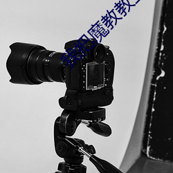 我(我)把魔(魔)教(教)教(教)主(主)娶(娶)回家了排雷