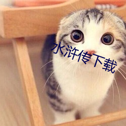 水(水)浒(浒)传下载